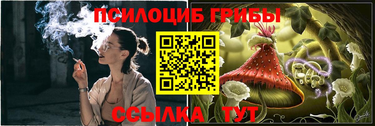 Славянск-на-Кубани  Псилоцибиновые грибы Magic Shrooms  Вход с VPN 